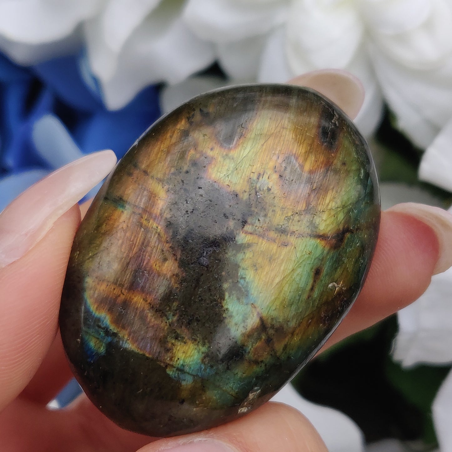 Labradorite Palm Stone (#224) - Simply Affinity