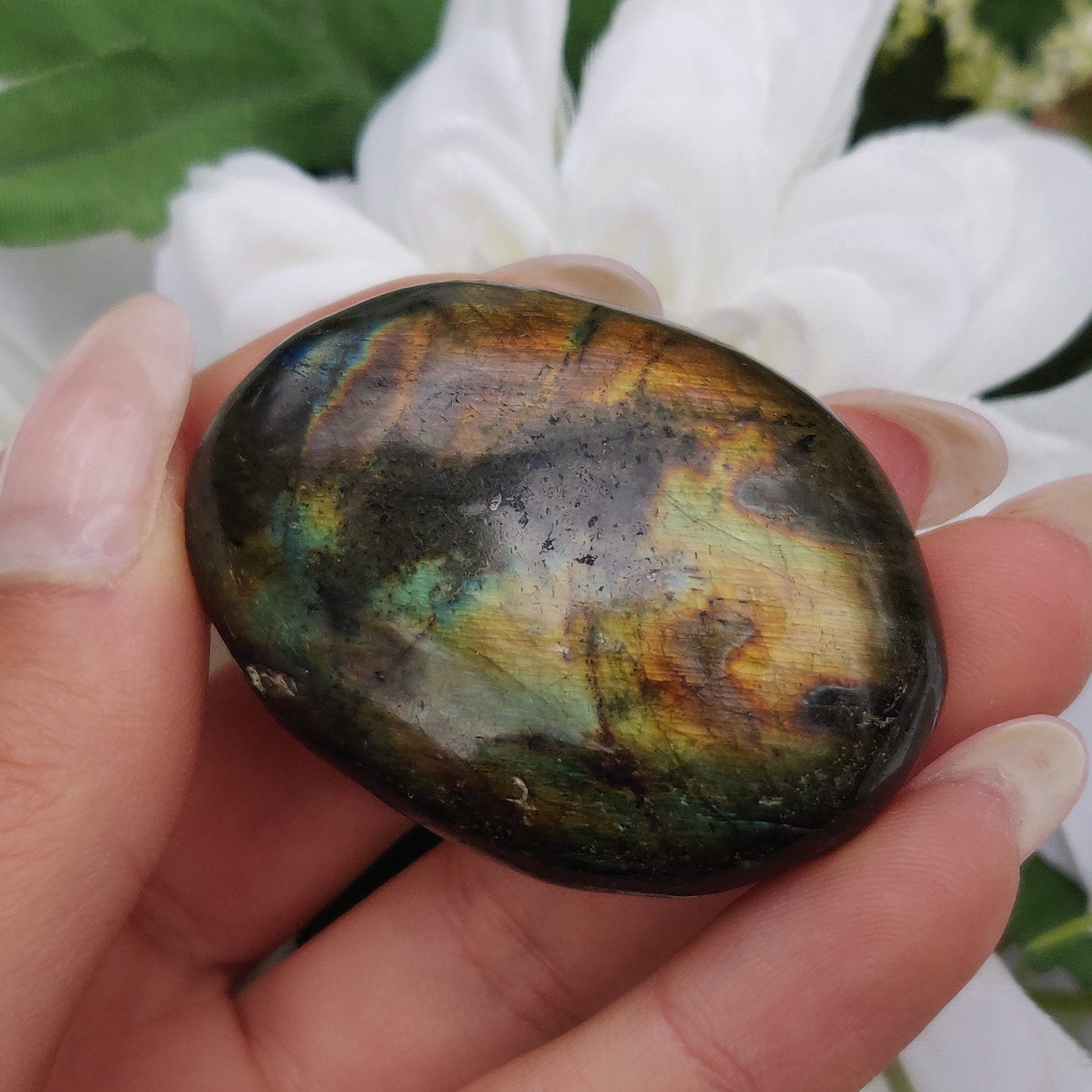 Labradorite Palm Stone (#224) - Simply Affinity