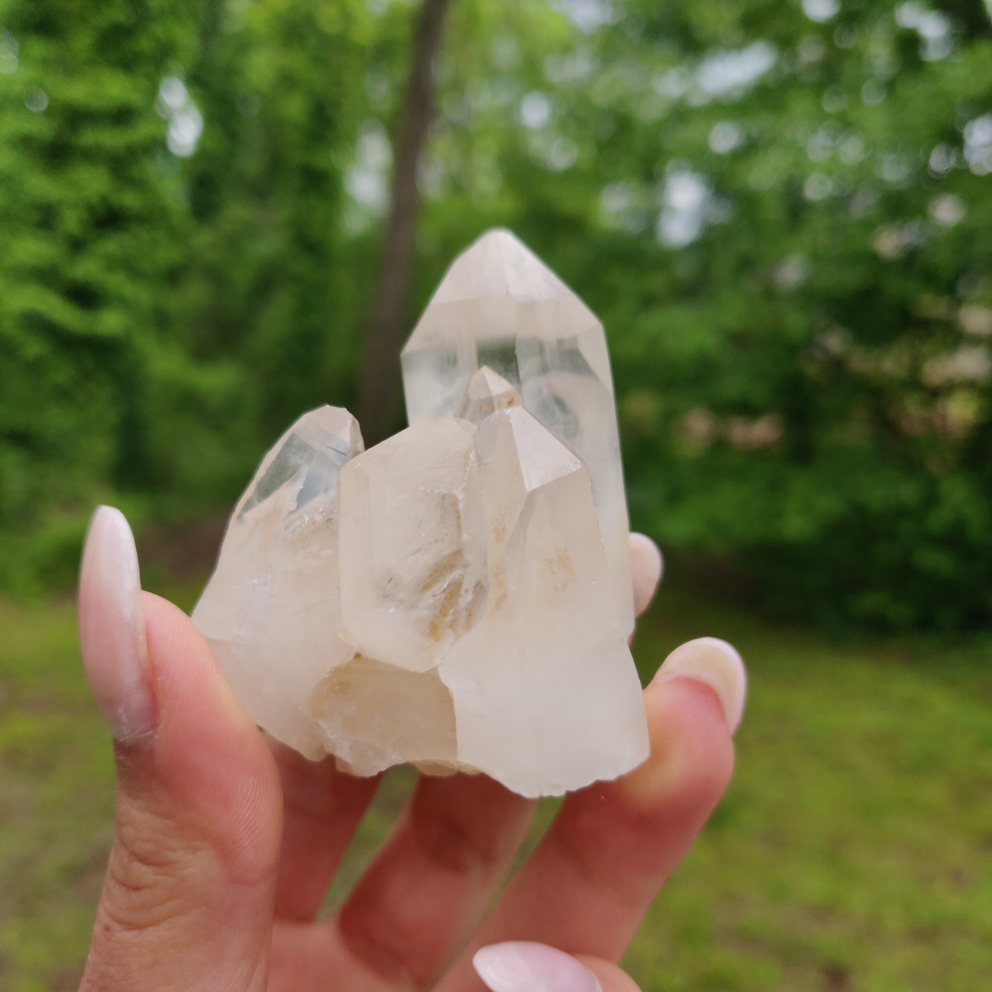Clear Quartz Cluster with Green Chlorite Inclusion (#3C)