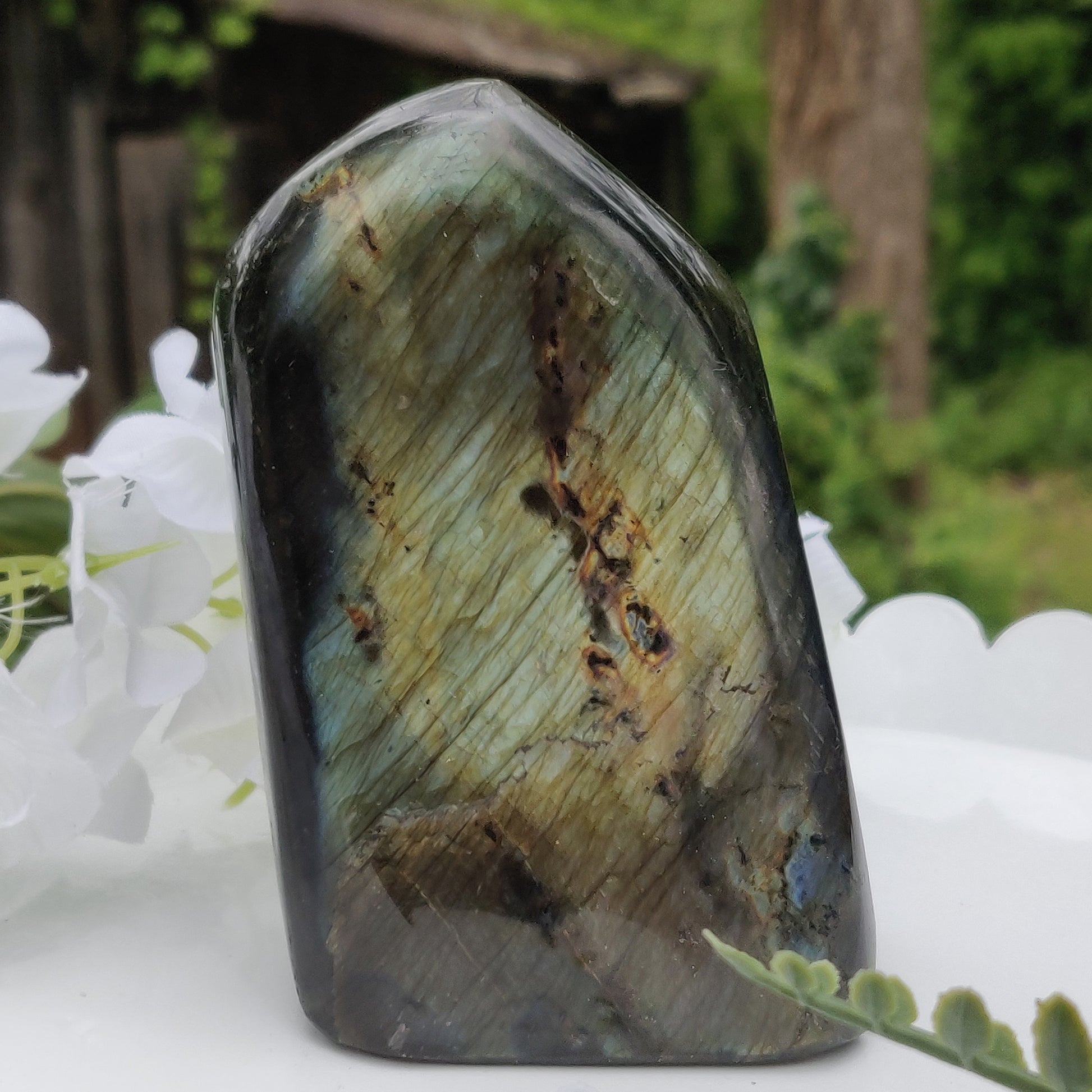 Labradorite Free Form (#1J) - Simply Affinity