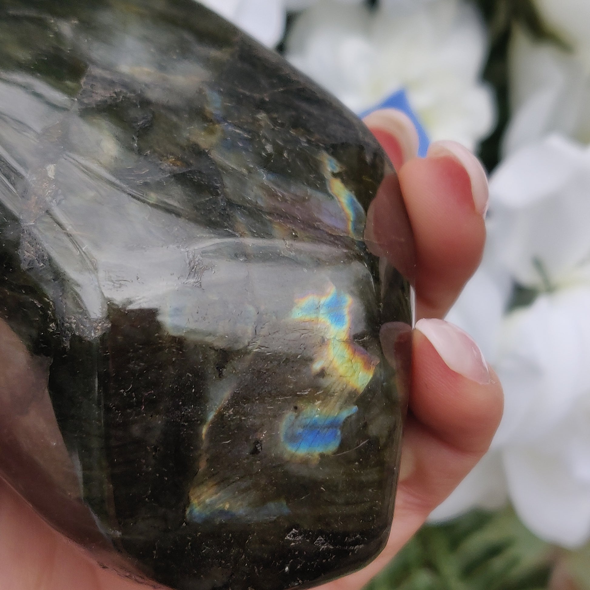 Labradorite Free Form (#1J) - Simply Affinity