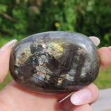 Labradorite Palm Stone (#230) - Simply Affinity