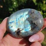 Labradorite Palm Stone (#227) - Simply Affinity