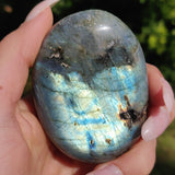 Labradorite Palm Stone (#227) - Simply Affinity