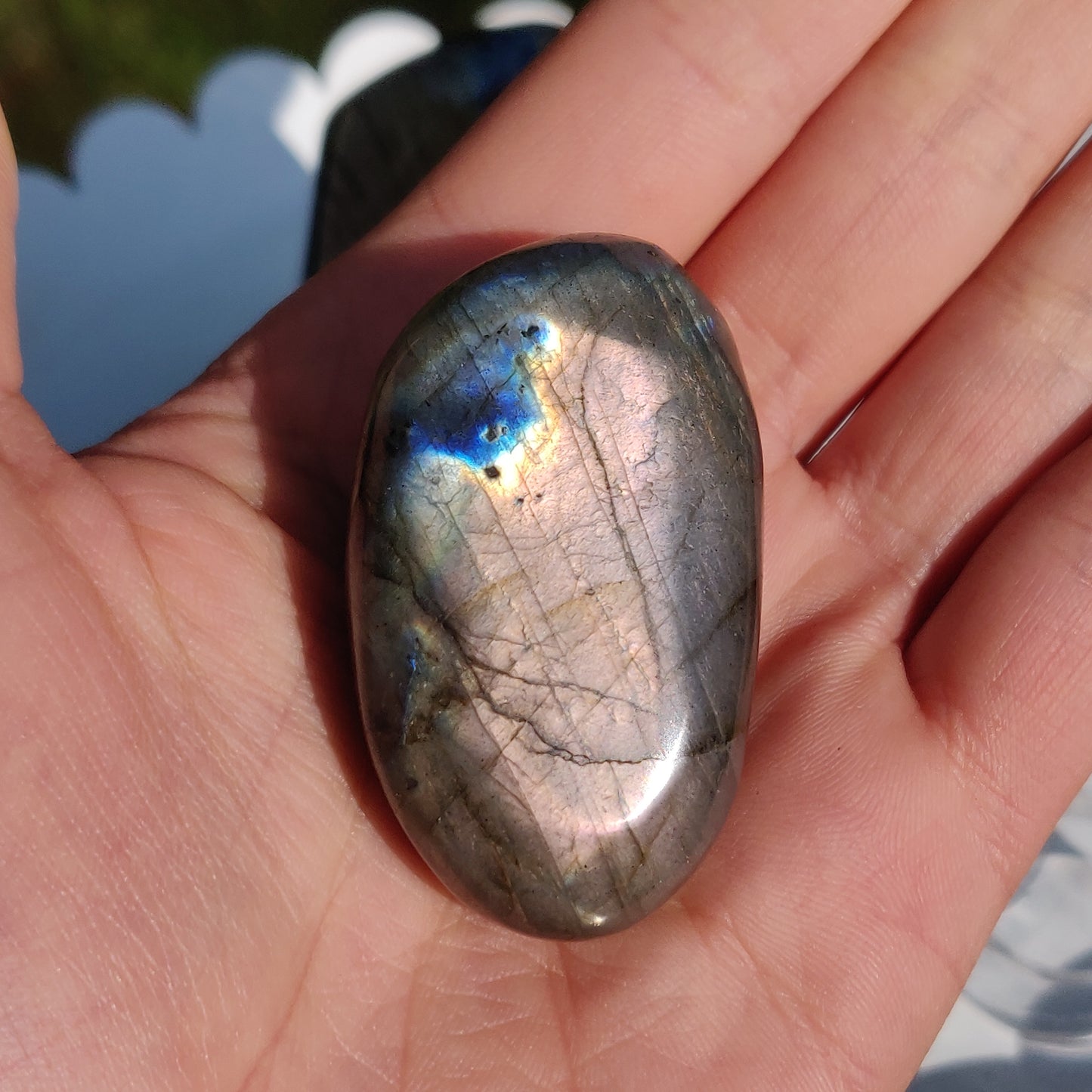 Labradorite Palm Stone (#231) - Simply Affinity