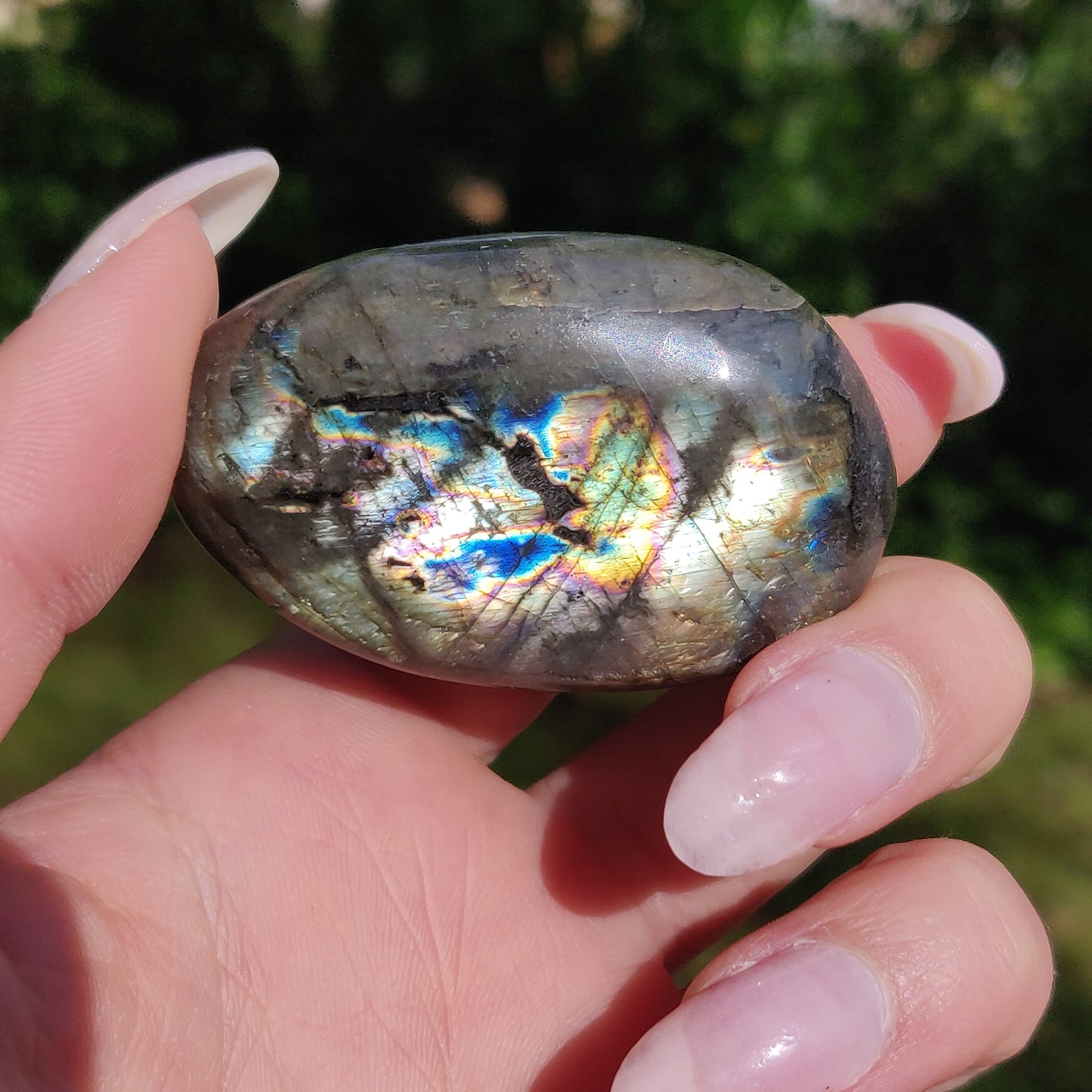 Labradorite Palm Stone (#226) - Simply Affinity