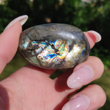 Labradorite Palm Stone (#226) - Simply Affinity