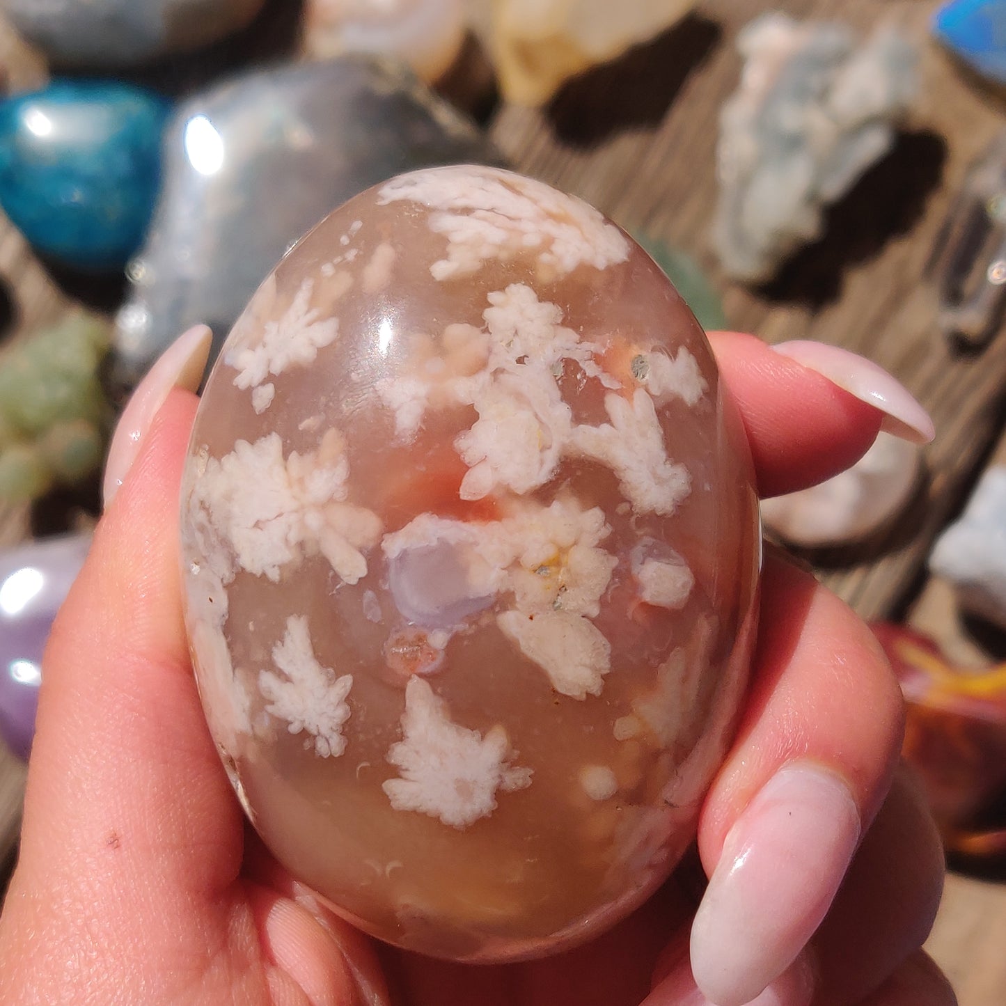 Flower Agate Palm Stone (#10)