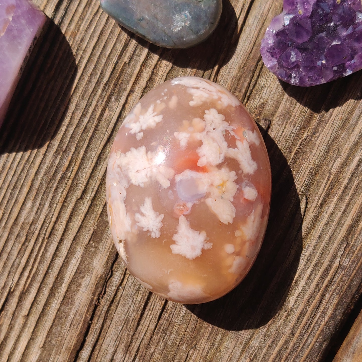 Flower Agate Palm Stone (#10)