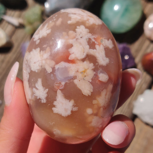 Flower Agate Palm Stone (#10)