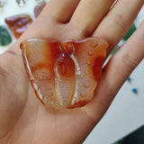 Carnelian Butterfly (#1) - Simply Affinity