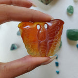Carnelian Butterfly (#2) - Simply Affinity