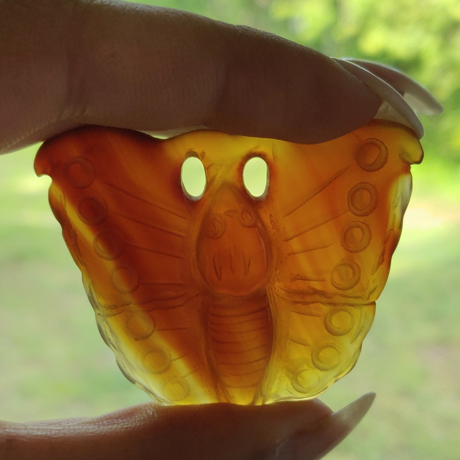 Carnelian Butterfly (#2) - Simply Affinity