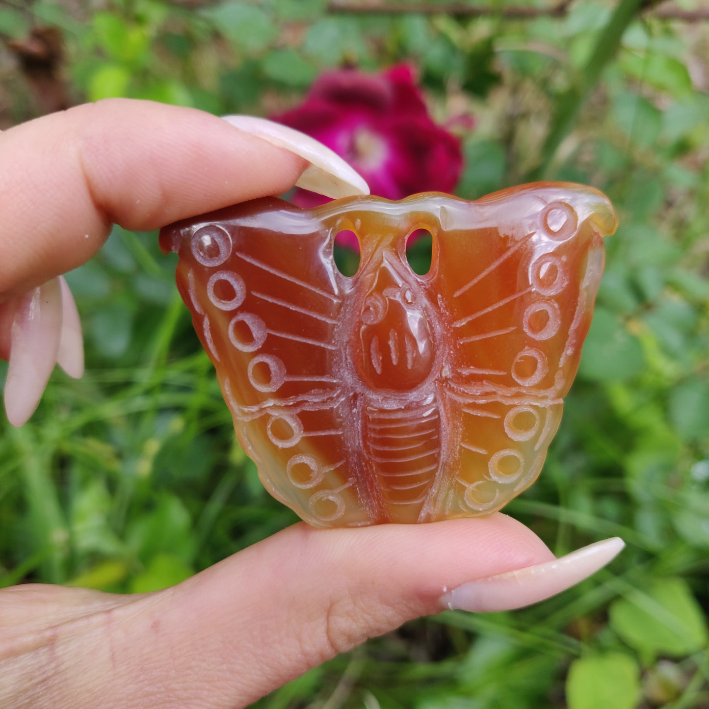 Carnelian Butterfly (#2) - Simply Affinity