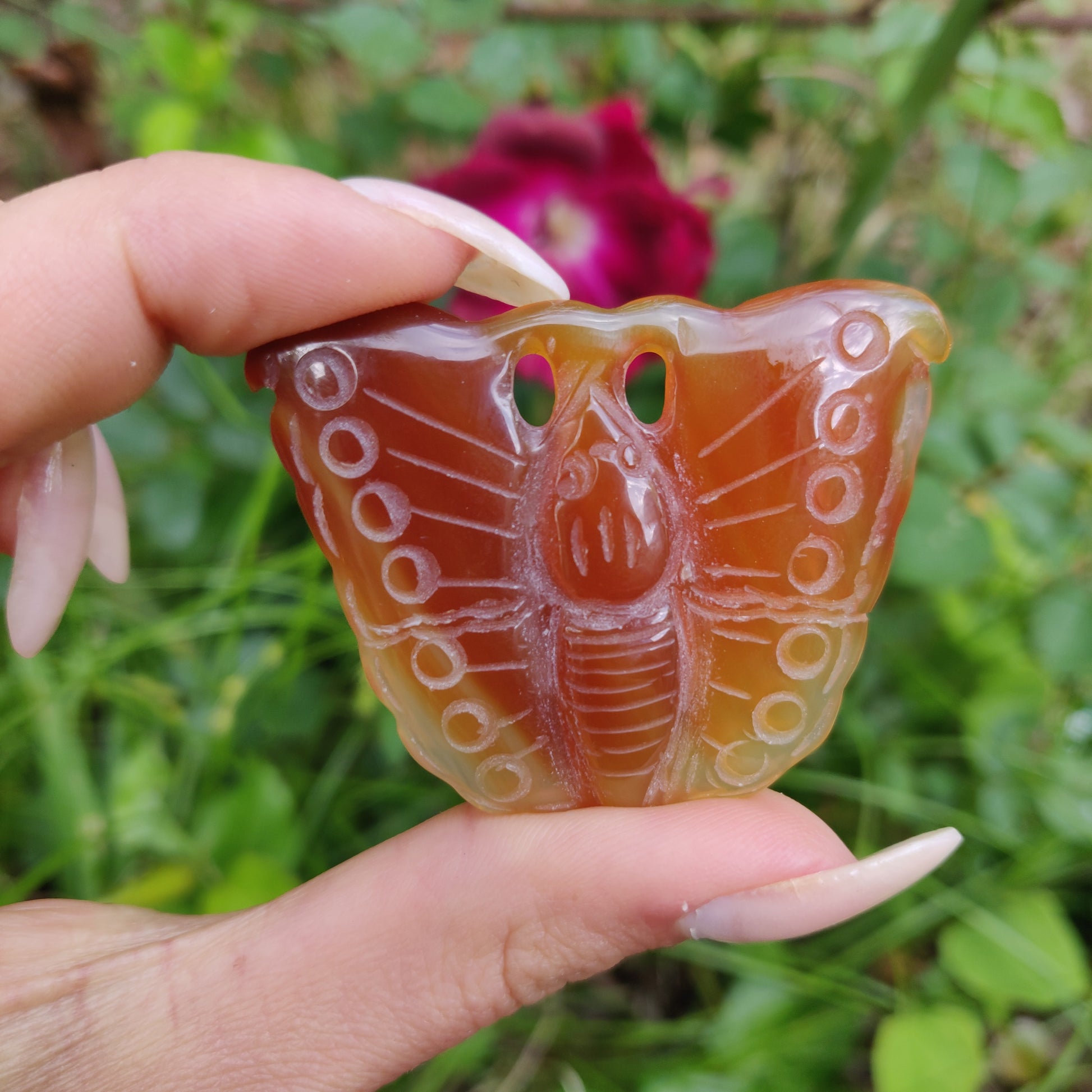 Carnelian Butterfly (#2) - Simply Affinity