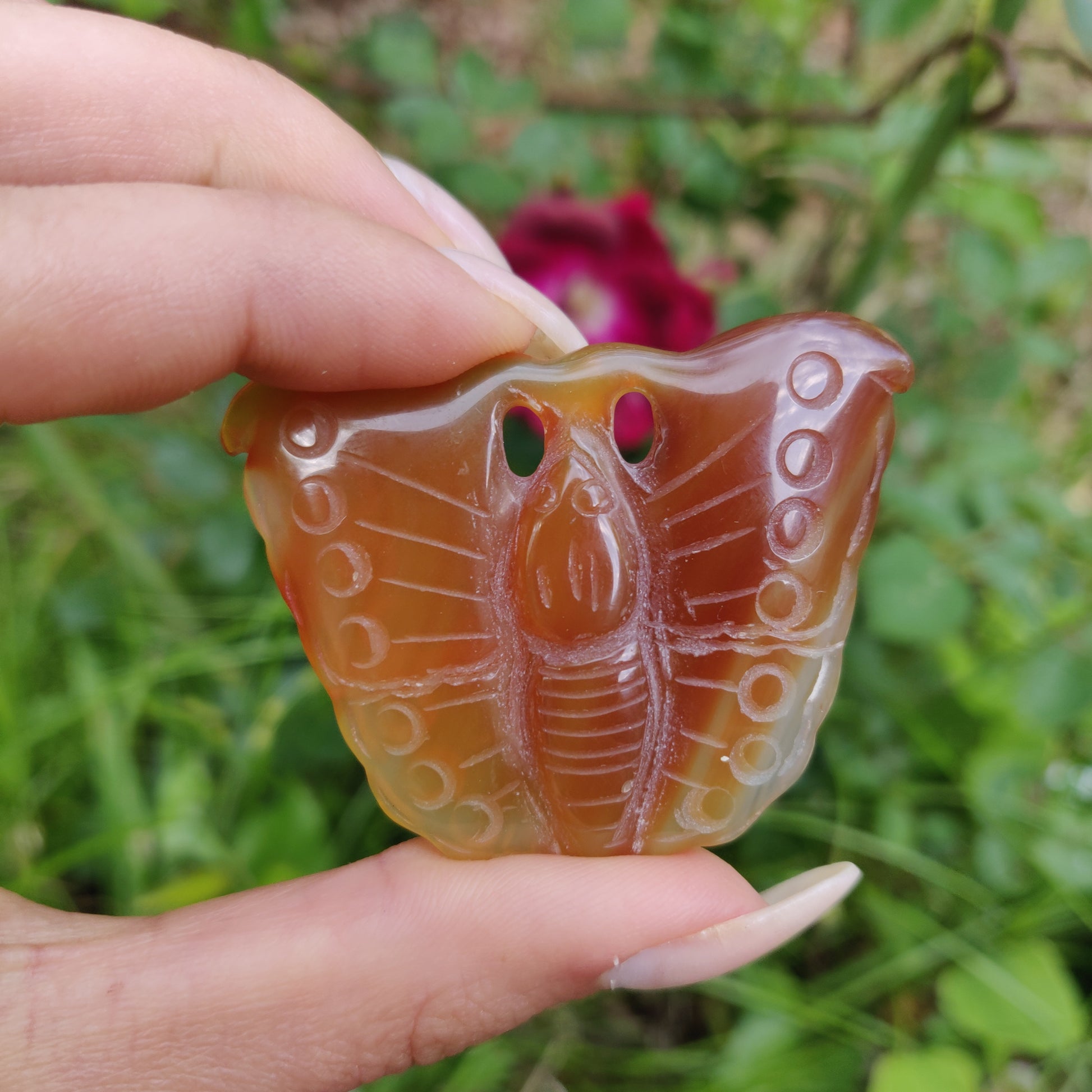 Carnelian Butterfly (#2) - Simply Affinity