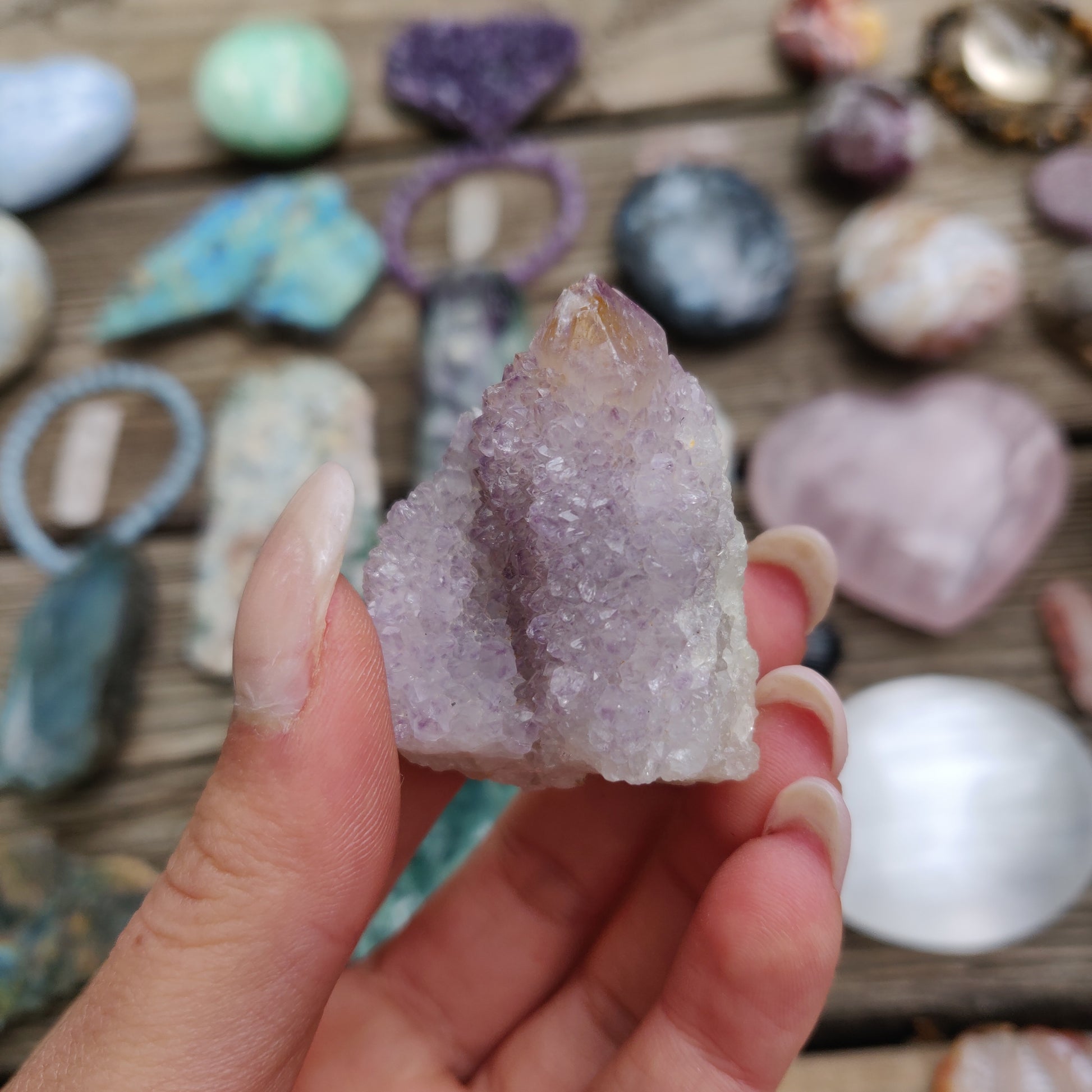 Amethyst Spirit Quartz Point, Amethyst Cactus Quartz (#1) - Simply Affinity