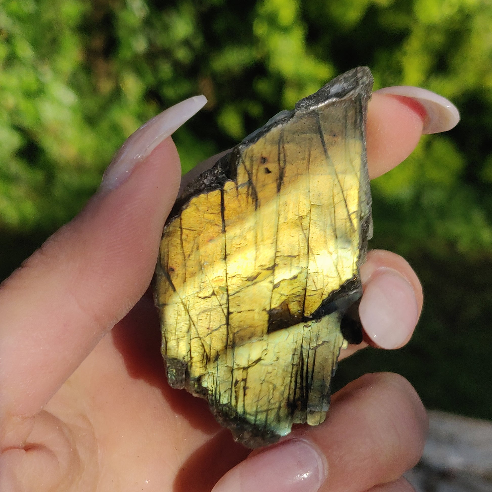 Labradorite Slab (#5) - Simply Affinity