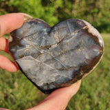 Titanium Amethyst Heart (#1)