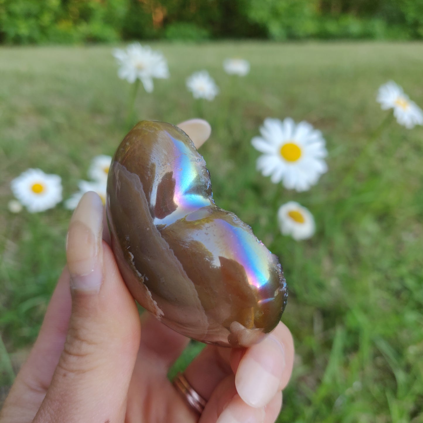 Titanium Amethyst Heart (#5)