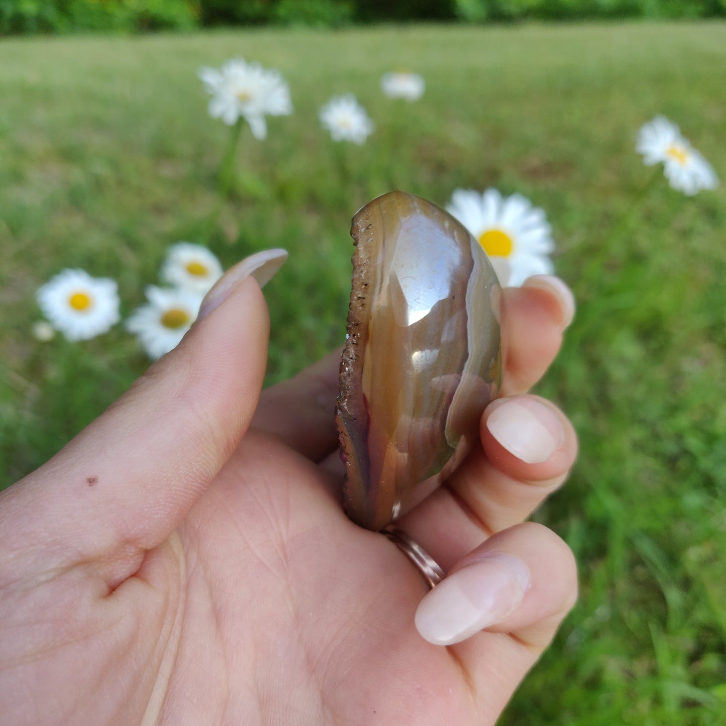 Titanium Amethyst Heart (#5)
