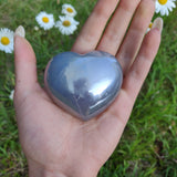 Titanium Amethyst Heart (#7)