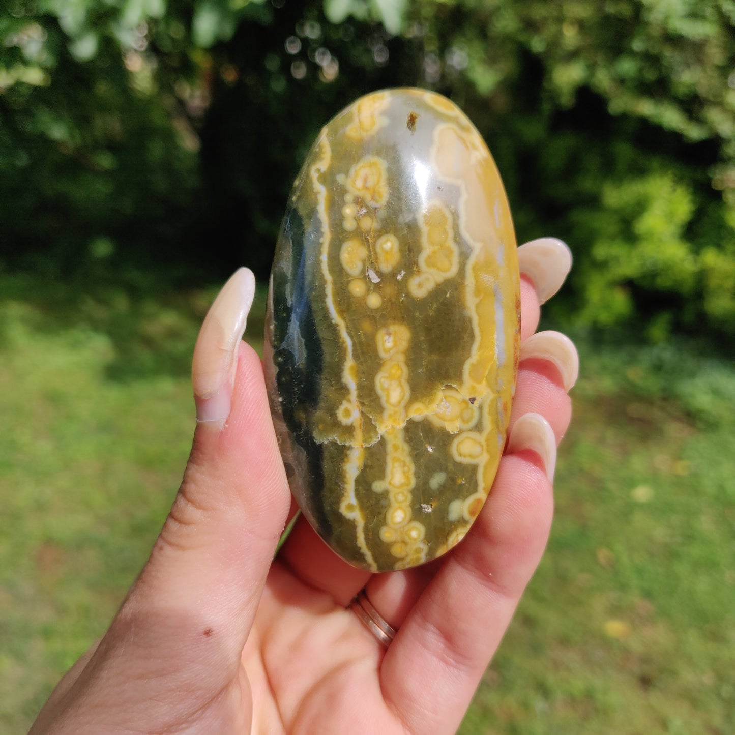 Kabamby Ocean Jasper Palm Stone (#3)