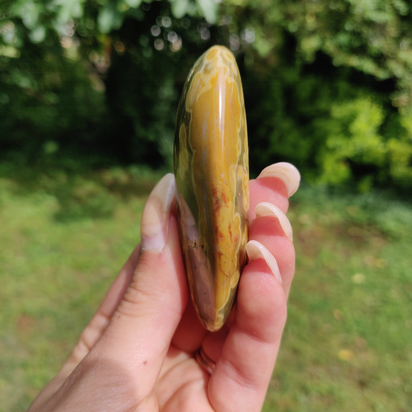 Kabamby Ocean Jasper Palm Stone (#3)