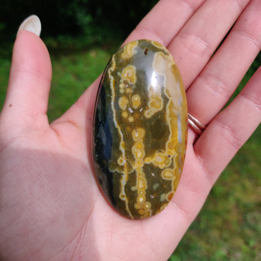 Kabamby Ocean Jasper Palm Stone (#3)