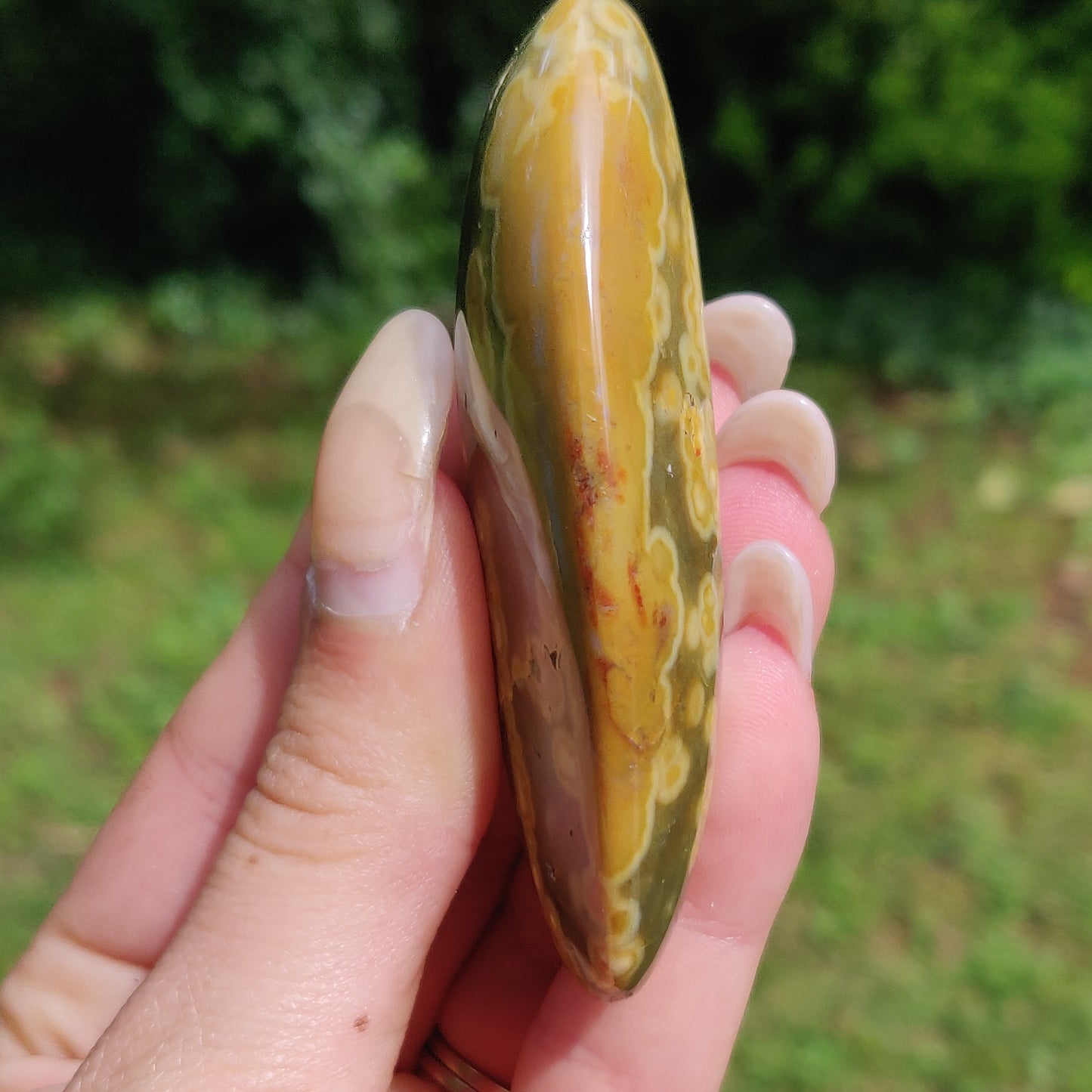 Kabamby Ocean Jasper Palm Stone (#3)