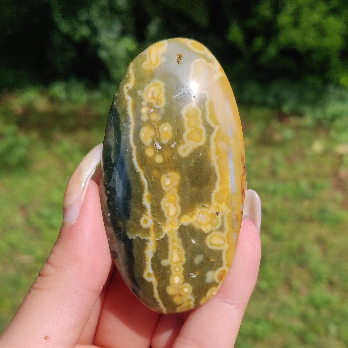Kabamby Ocean Jasper Palm Stone (#3)