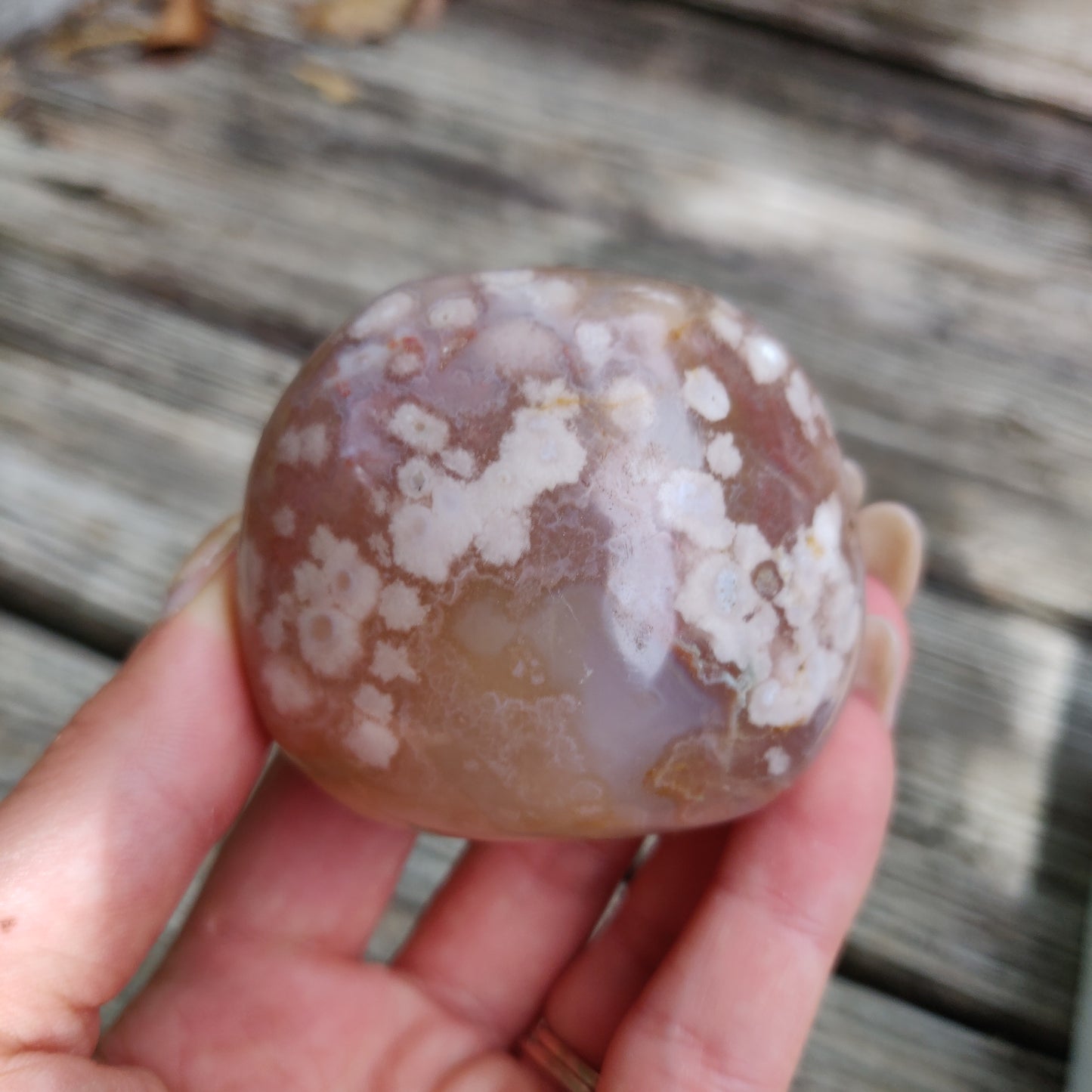 Flower Agate Palm Stone (#24)