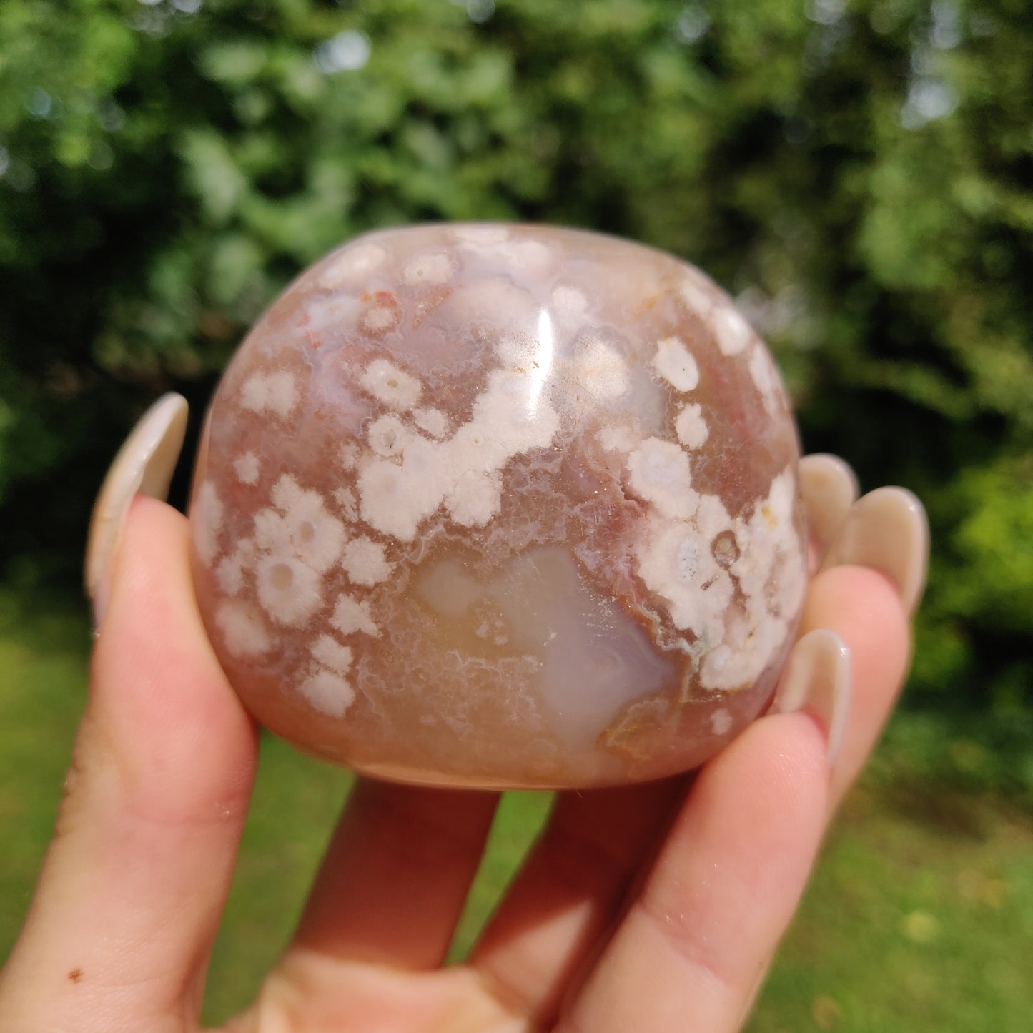 Flower Agate Palm Stone (#24)