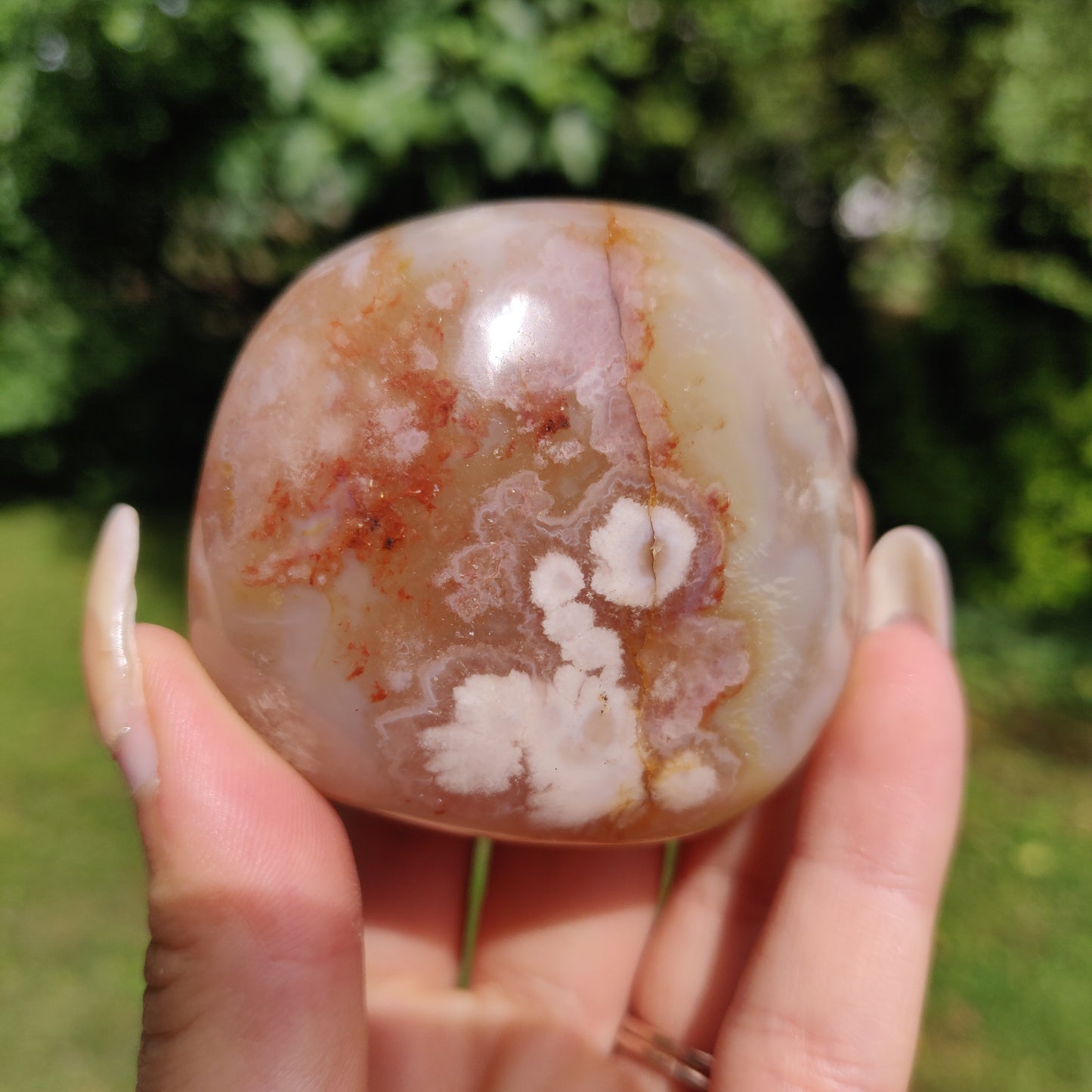 Flower Agate Palm Stone (#24)
