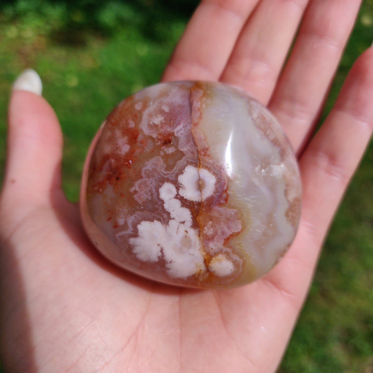 Flower Agate Palm Stone (#24)
