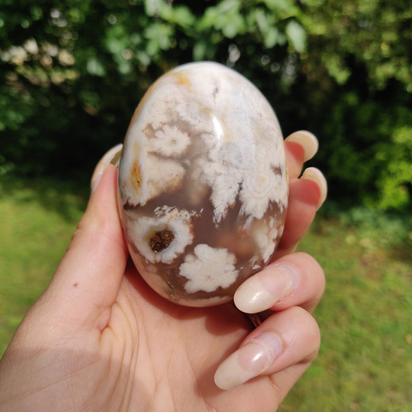 Flower Agate Palm Stone (#29)