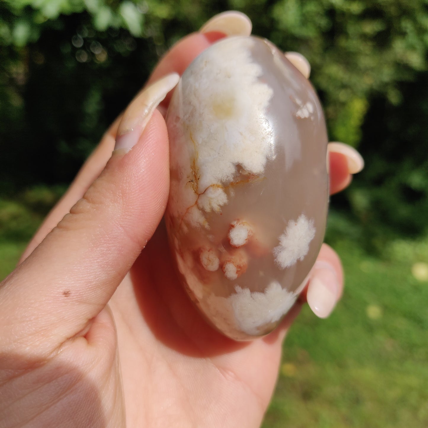 Flower Agate Palm Stone (#29)