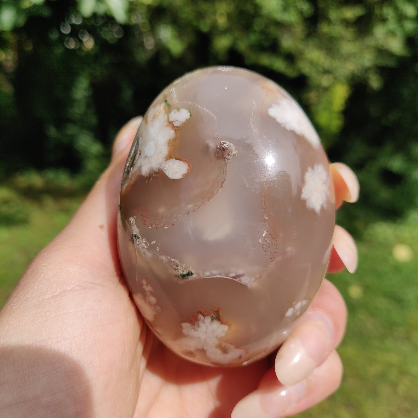 Flower Agate Palm Stone (#29)