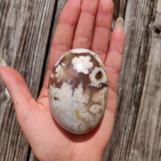 Flower Agate Palm Stone (#29)