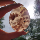 Flower Agate Palm Stone (#37)