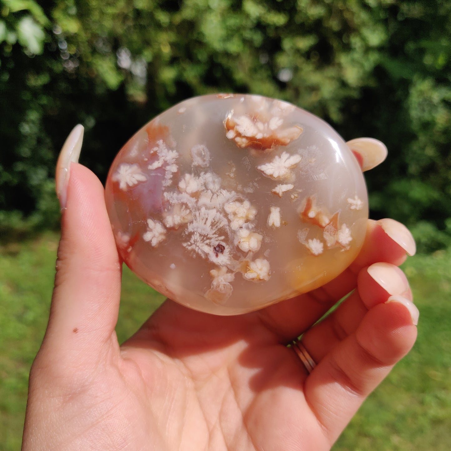 Flower Agate Palm Stone (#37)