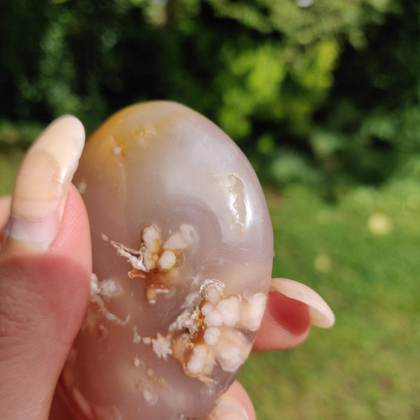 Flower Agate Palm Stone (#37)