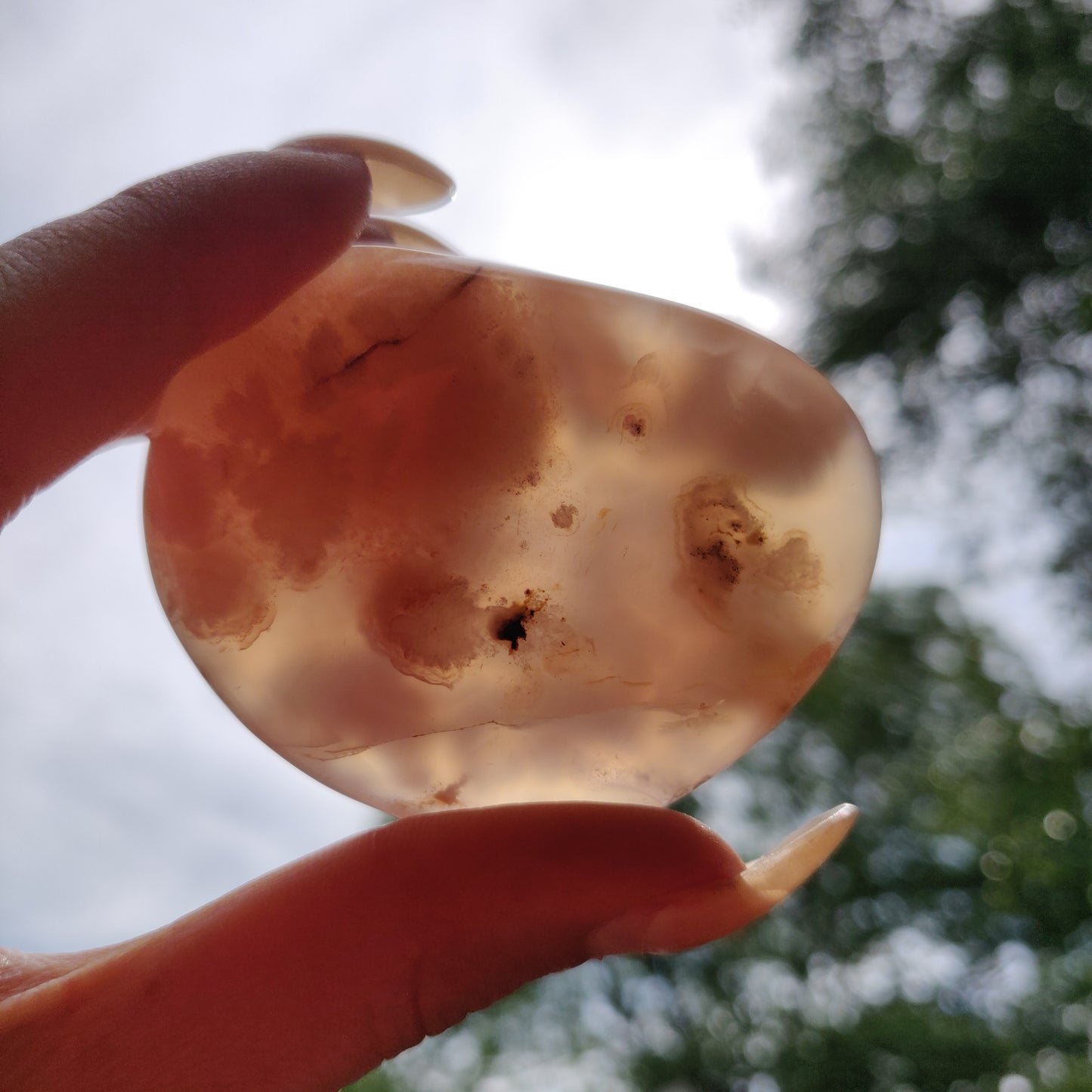 Flower Agate Palm Stone (#38)