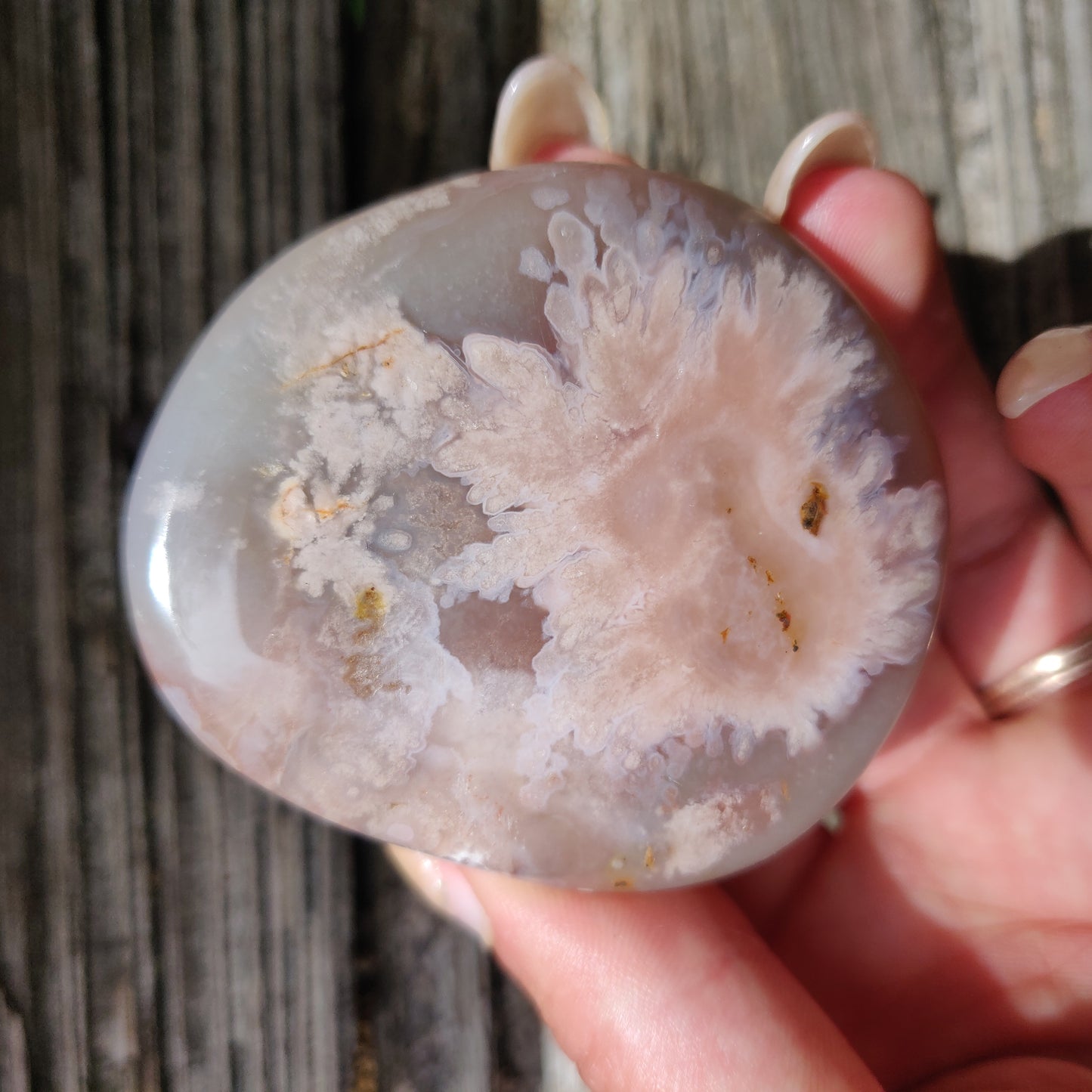 Flower Agate Palm Stone (#39)