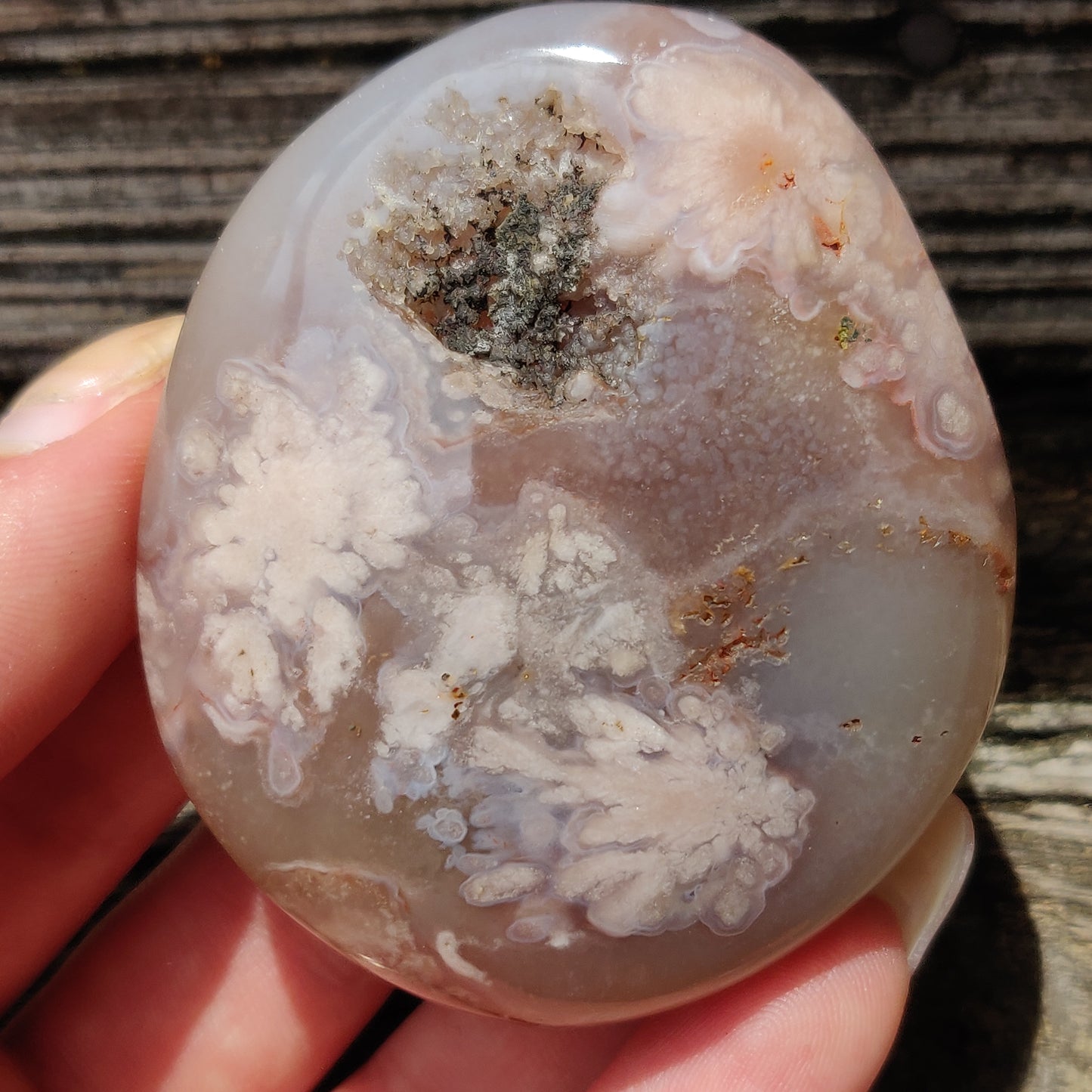 Flower Agate Palm Stone (#39)