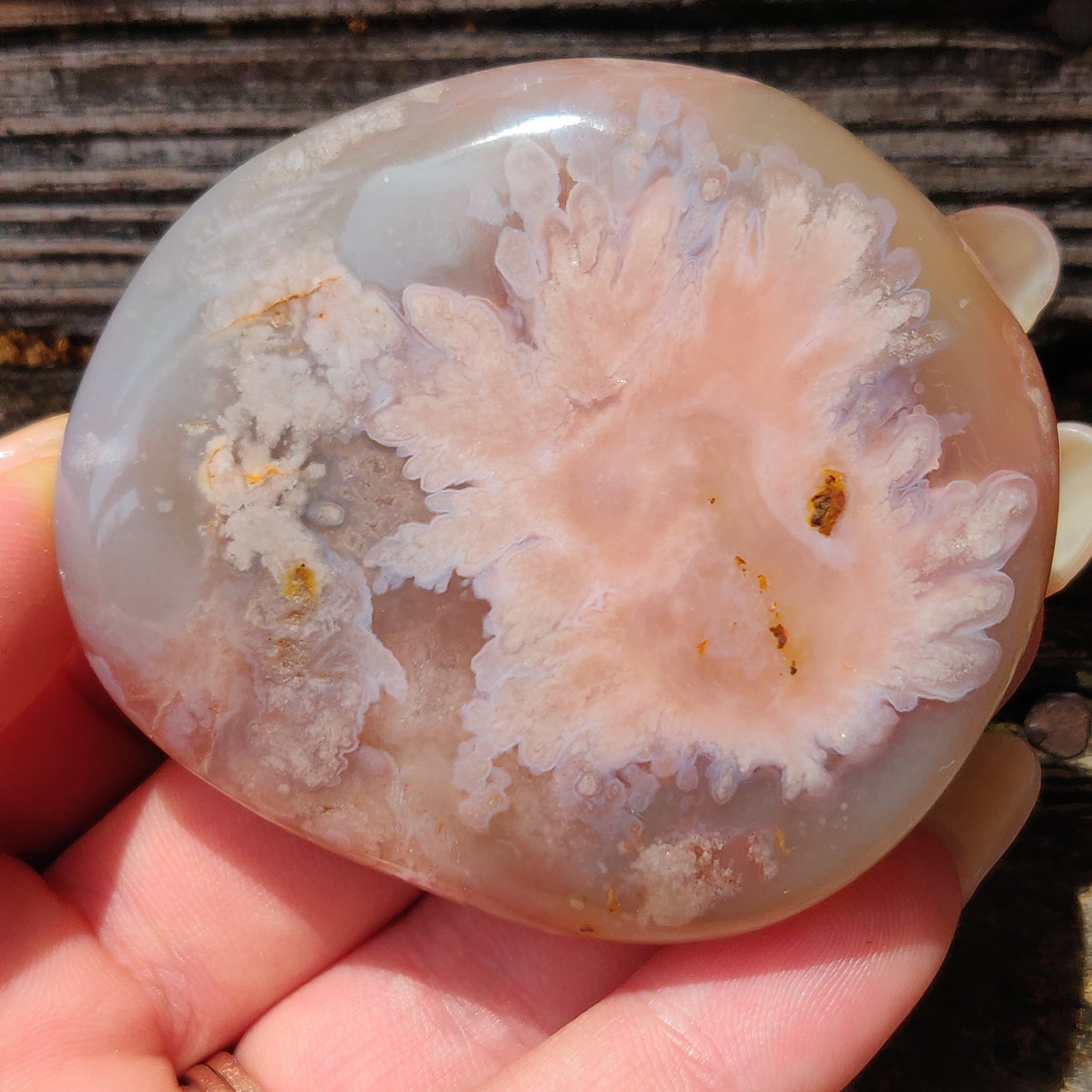 Flower Agate Palm Stone (#39)