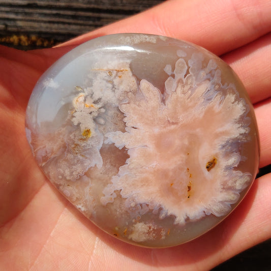 Flower Agate Palm Stone (#39)