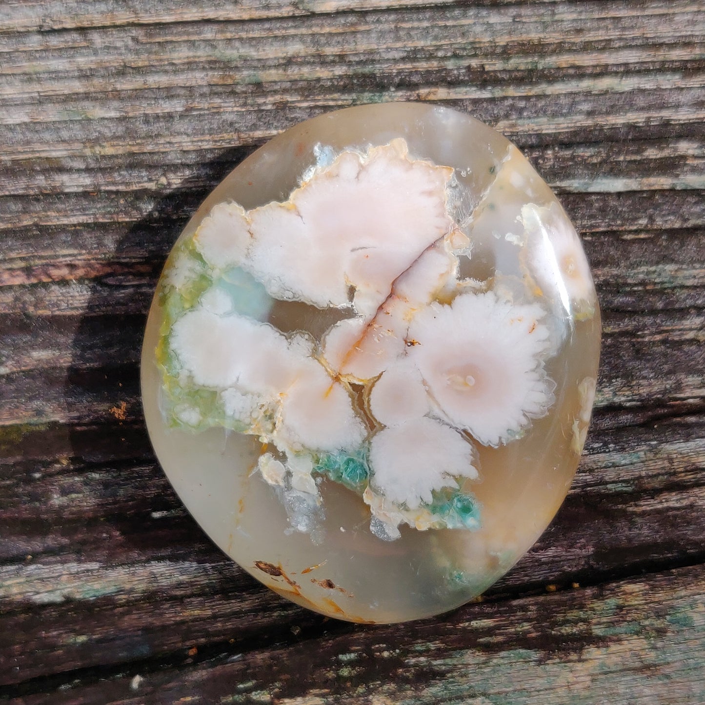 Flower Agate Palm Stone (#40)