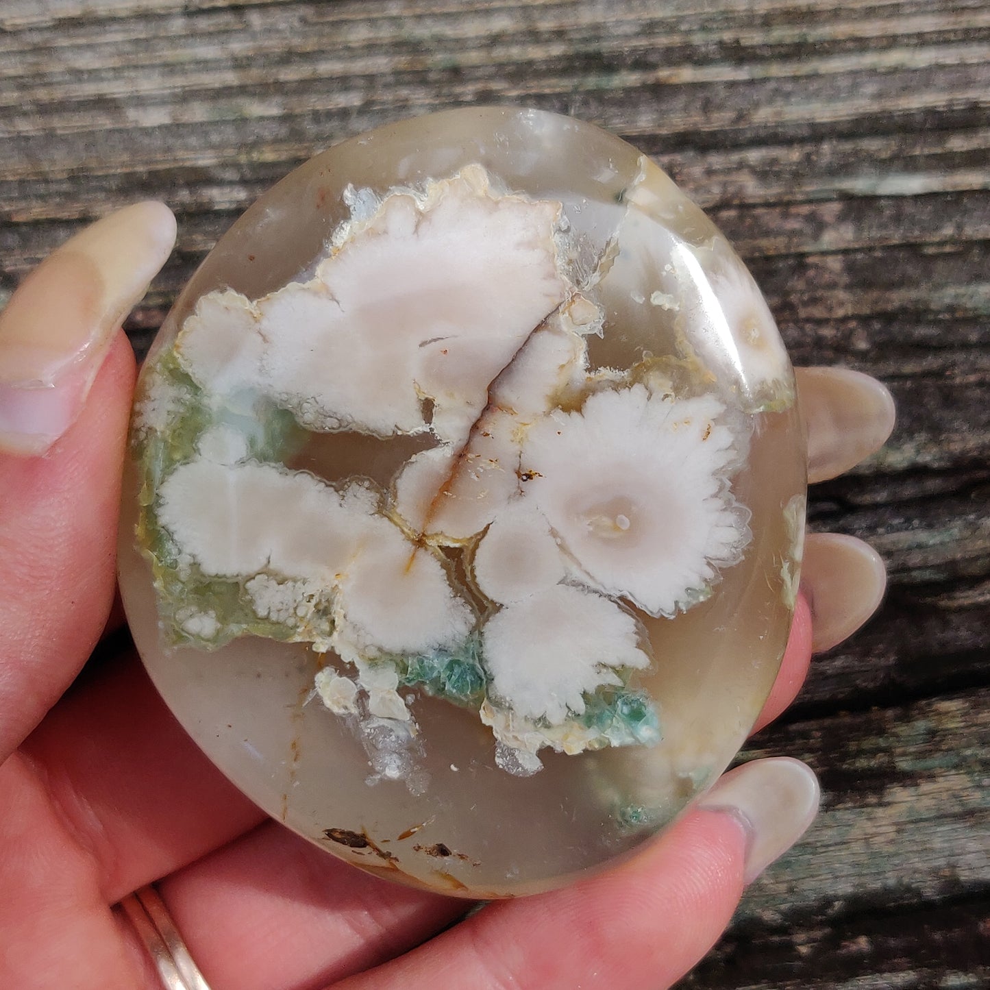 Flower Agate Palm Stone (#40)