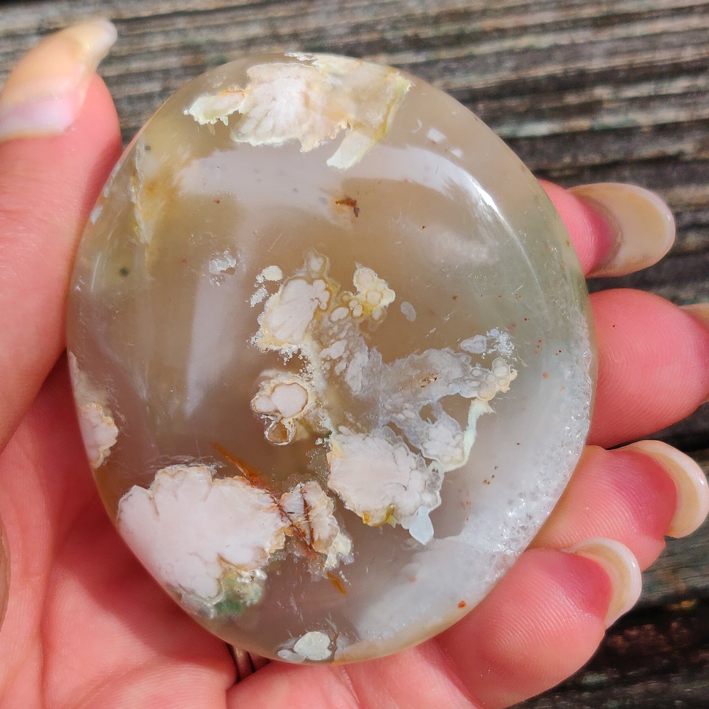 Flower Agate Palm Stone (#40)